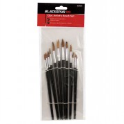 Artist Brushes Round 10/12pc