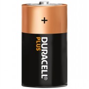 Duracell D (MN1300  R20) x 2