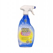 1001 Carpet Stain Remover