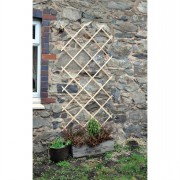 Trellis 6x3ft