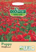 Poppy Wildflower