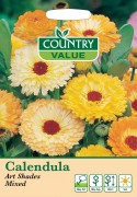 Calendula