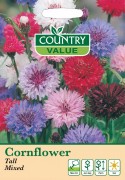 Cornflower  Tall Mixed.