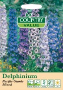 Delphinium