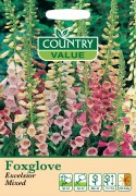 Foxglove