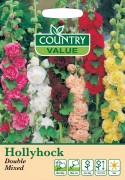 Hollyhock