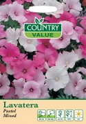 Lavatera