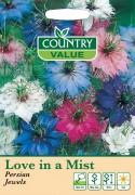 Love In  A Mist