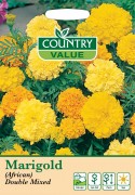 Marigold African Double