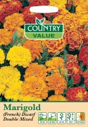 Marigold French Dwarf