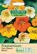 Nasturtium Tom Thumb