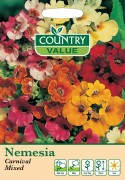 Nemesia