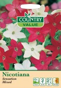 Nicotiana Sensation Mixed.