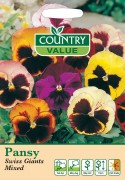 Pansy Swiss Giant