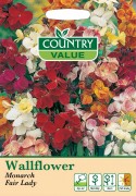 Wallflower Fairlady