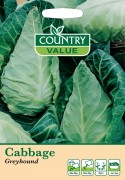 Cabbage Greyhound