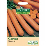 Carrot Eary Nantes 2
