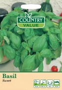 Herb Basil