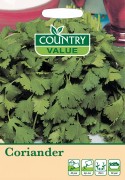 Herb Coriander