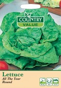 Lettuce All Year Round