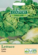 Lettuce Little Gem