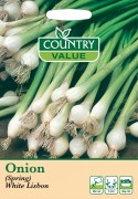 Onion Spring White Lisbon