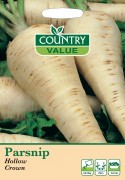 Parsnip