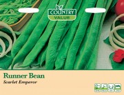 Runner Bean Scarlet Emporer