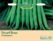 Dwarf Bean