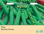 Pea Kelvedon Wonder