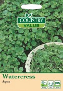 Watercress Aqua.