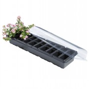 Windowsill Propagator