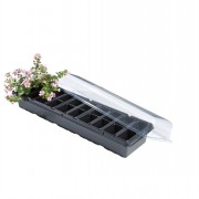 Windowsill Propagator