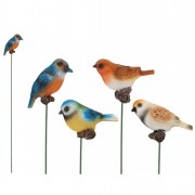 British Bird on Stake