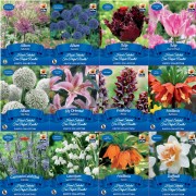 Spring Bulb Exotics