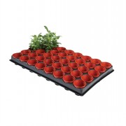 Seed & Cutting Tray