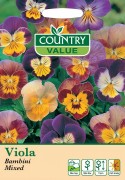 Viola Bambini Mixed