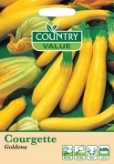 Courgette Goldena