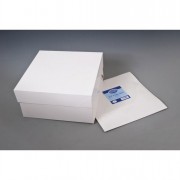 Cake Box 31cm