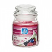 Jar Candle Wild Berries