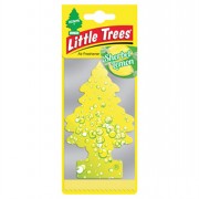 Magic Tree Margarita/Sherbet
