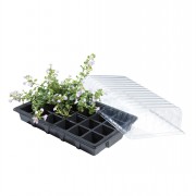Standard Propagator Set