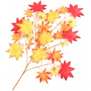 Autumn Spray Maple Leaf