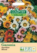 Gazania Sunshine Mixed