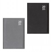 Silver Diary A6 Day a Page