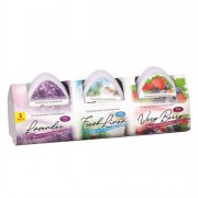 Gel Air Freshener Mini 3pc