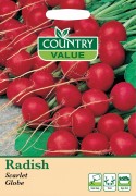 Radish Scarlet Globe.