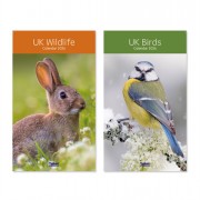 Calendar Midi Wildlife/Birds