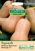 Squash (Winter) Butternut F1