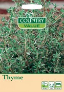 Herb Thyme